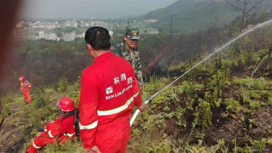 浦江县森林消防演练在岩头镇朝阳水库举行-浦