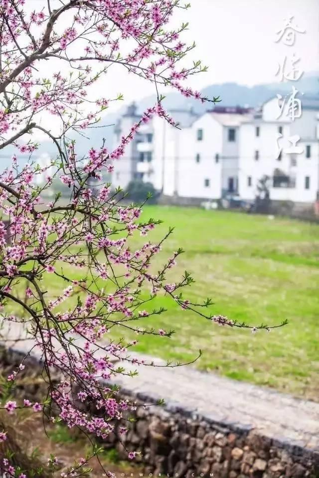 浙江最美的古村，全在浦江～