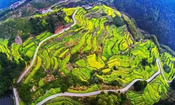 浙江最美的古村，全在浦江～