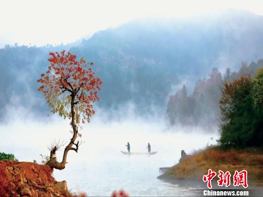 浙江浦江乡村逆袭记：精耕细作焕新颜 青山绿水入画来。浦江县农办提供