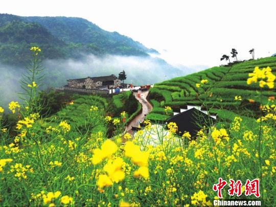 浙江浦江乡村逆袭记：精耕细作焕新颜 青山绿水入画来。浦江县农办提供