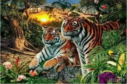 C:\Documents and Settings\Administrator\桌面\老虎.png