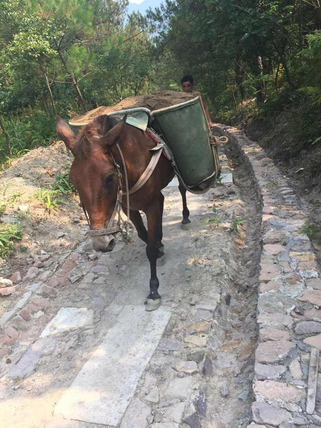 微信图片_20170821151942.jpg 微信图片_20170821151942.jpg