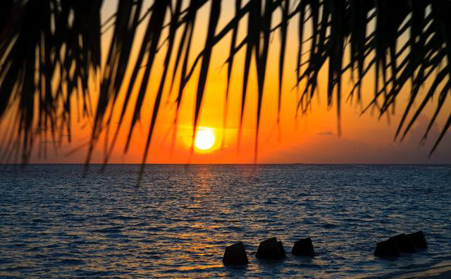 1534724332347989f15d9a4.jpg 1534724332347989f15d9a4.jpg