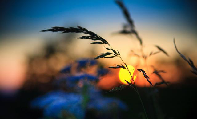 153472434977779b98537f9.jpg 153472434977779b98537f9.jpg